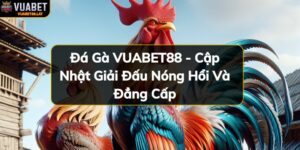 https://vuabet88.in/wp-content/uploads/2024/11/da-ga-vuabet88-cap-nhat-giai-dau-nong-hoi-va-dang-cap.jpg